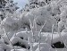 Іван Батяла фотография #48 (источник - https://vk.com/id131928285)