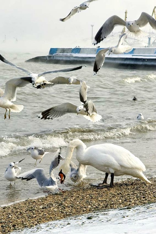 Любовь Деева фотография #37