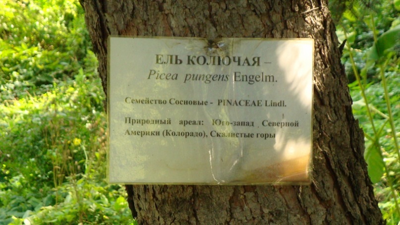 Светлана Самаркина фотография #38