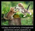 Фотография Левченко Наташи