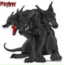 Фотография Папина Алексея