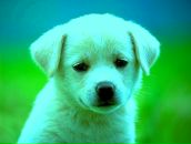 Віталій Дець фотография #6 (источник - https://vk.com/id127973512)