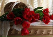 Фотография Ермолаевой Елены