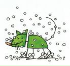 Фотография Бурмицкой Тамары