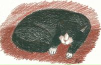 Леди Мери фотография #40 (источник - https://vk.com/id3370484)