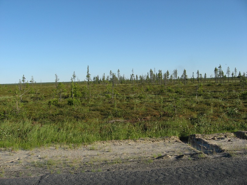 Игорь Дунюшкин фотография #30