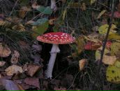 Фотография Нитовщикова Михаила