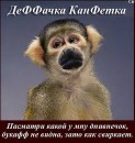 Сергій Гайдеєв фотография #14 (источник - https://vk.com/id63450867)