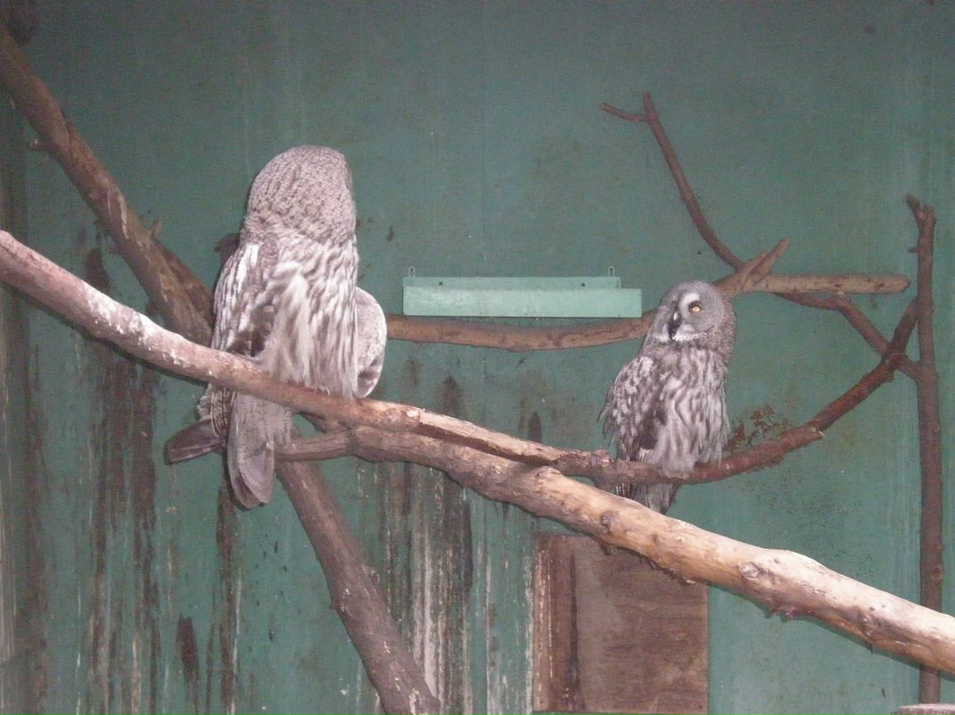 Ирина Мальцева фотография #32