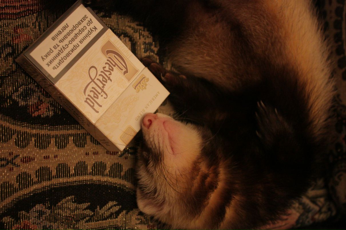 Сергей Ивахненко фотография #32