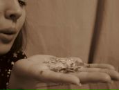 Фотография Евраскиной Софии