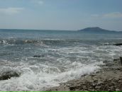 Александр Савкин фотография #1