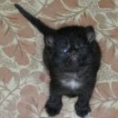 Фотография Варсеева Виталика