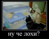 Андрій Лемішевський фотография #3 (источник - https://vk.com/id65081887)