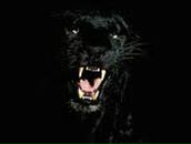 Фотография Прытковой Екатерины