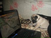 Фотография Пехтеревой Ириши