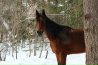 Фотография Poptsova Anna