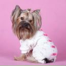 Анастасія Боса фотография #3 (источник - https://vk.com/id190044221)