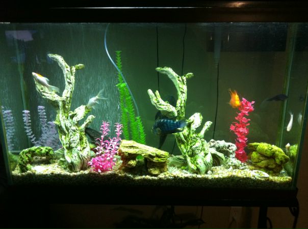 Данил Беляев фото №25