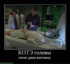 Оля Павліченко фотография #41 (источник - https://vk.com/id80105642)