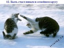 Светик Евтушенко фотография #21 (источник - https://vk.com/id143337040)