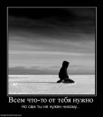 Сергей Лях фотография #43 (источник - https://vk.com/id14270446)