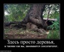 Сергій Савченко фотография #16 (источник - https://vk.com/id6505452)