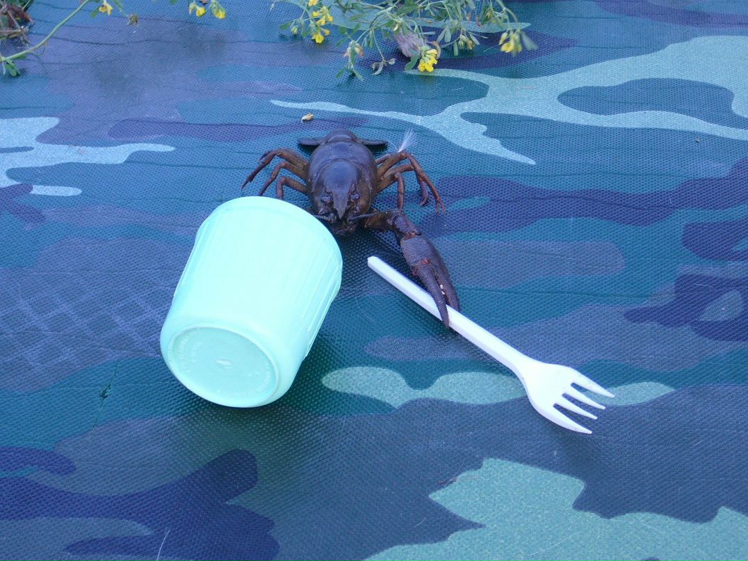 Pasha Rogovsky фотография #16