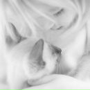 Фотография Цветковой Анюты