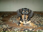 Фотография игнатьева(петрова) марии