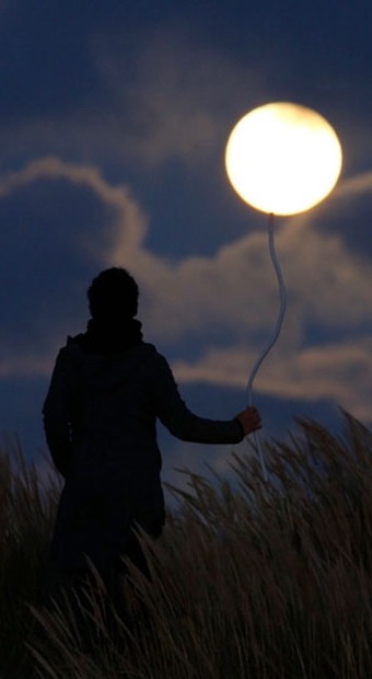 Дмитрий Шишков фотография #29