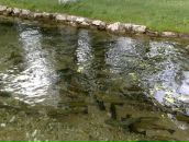 Иван Стефановић фотография #29 (источник - https://vk.com/id74217773)