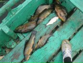 Фотография Кузнецова Антона