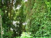 Валерий Иванов фотография #20 (источник - https://vk.com/id3000426)