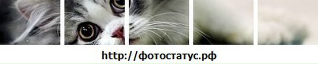 Софійка Богута фотография #41 (источник - https://vk.com/id82113373)