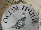 Фотография Яновского Владимира