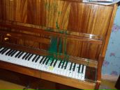 Роман Орлов фотография #10 (источник - https://vk.com/id9727451)