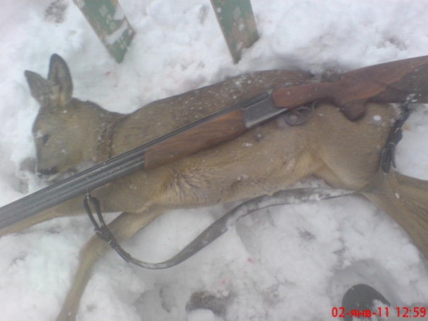 Александр Минченков фото №20