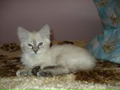 Янчик Ігор фотография #17 (источник - https://vk.com/id13336003)