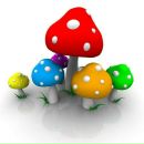 Фотография Ладановой Татьяны