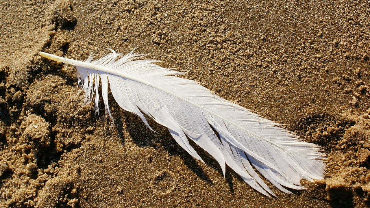 Konstantin Sdobnikov фотография #38