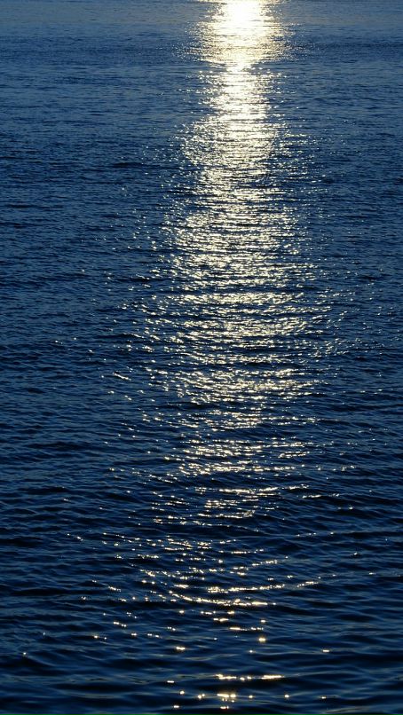 Konstantin Sdobnikov фотография #36