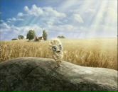 Елена Порохова фотография #1