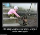Фархад Мовсумзаде фотография #30 (источник - https://vk.com/id63252850)
