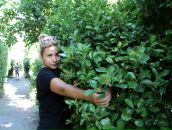 Фотография Ворониной Ани