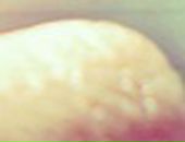 Саша Кремінчуцька фотография #19 (источник - https://vk.com/id71857139)