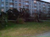 Фотография Алимова Владимира