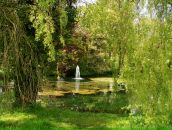 Фотография Goryachka El