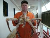 Фотография Иляйкина Александра