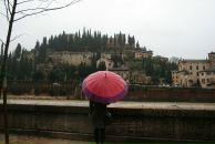 Фотография Neronova Stella